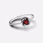 Anello Cerchio Eterno Rosso Luglio