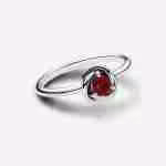 Anello Cerchio Eterno Rosso Scuro Gennaio