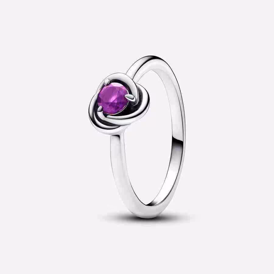 Anello Cerchio Eterno Viola Febbraio Anello Cerchio Eterno Viola Febbraio
