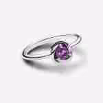 Anello Cerchio Eterno Viola Febbraio