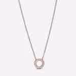 Collana Cerchio Piccolo-Placcato oro rosa Collana Cerchio Piccolo-Placcato oro rosa
