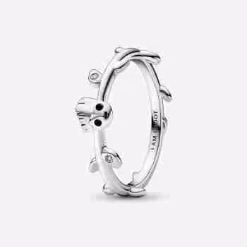 Marvel, Guardiani della Galassia, Anello Groot
