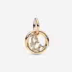Charm Pendente Segno Zodiacale Acquario