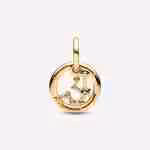 Charm Pendente Segno Zodiacale Acquario