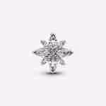 Charm Stella Polare Luminosa