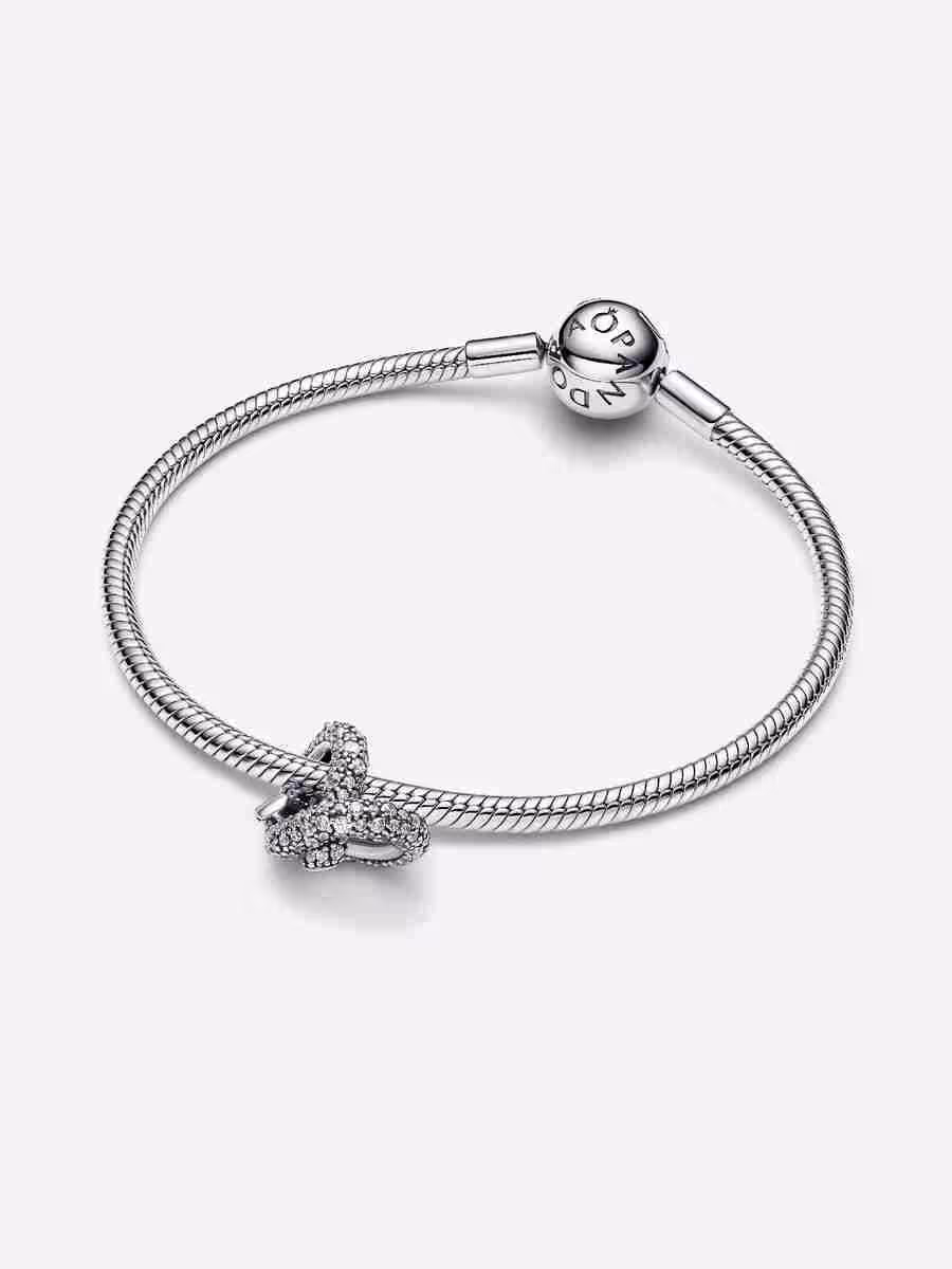 Charm Cuore Nodo Infinito e Pavè_1