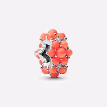 Charm Oceano Color Corallo