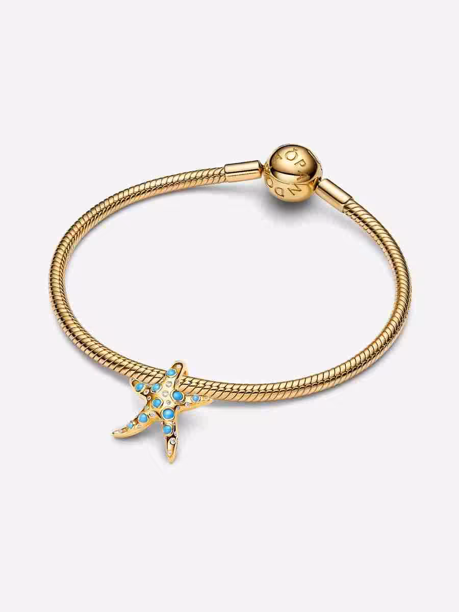 Charm Stella Marina Grande_1