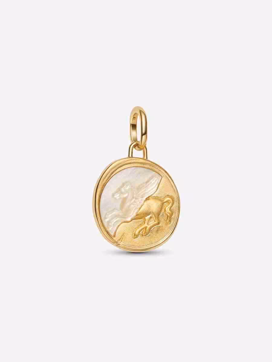 Charm Medallion Pegaso Ex Animo Charm Medallion Pegaso Ex Animo