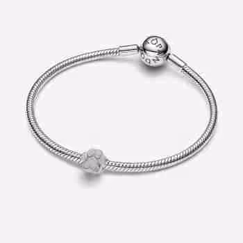 Homepage Mini Charm Zampa effetto diamantato 1