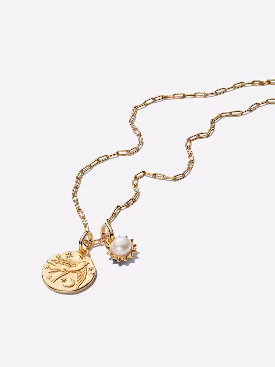 Set Collana Sole e Rondine Dum Vita Est Spes Est Set Collana Sole e Rondine Dum Vita Est Spes Est